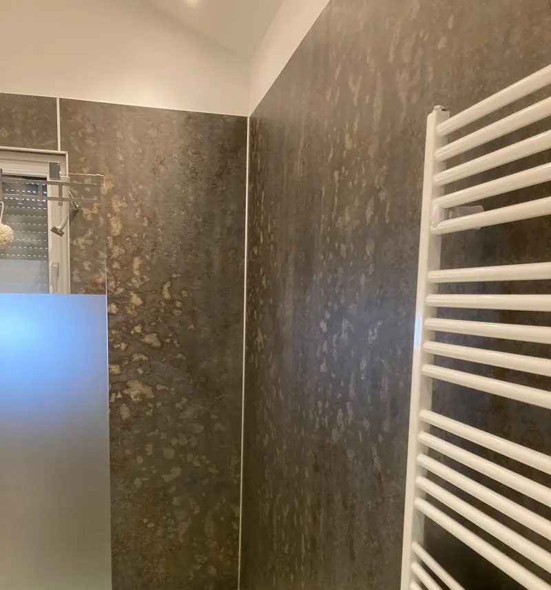 Modern bathroom with a textured brown wall, white towel radiator, frosted glass partition, and an overhead light.