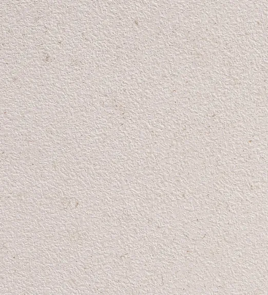 Close-up of a textured, pale beige surface. The texture is slightly rough with small, irregular grains scattered throughout.