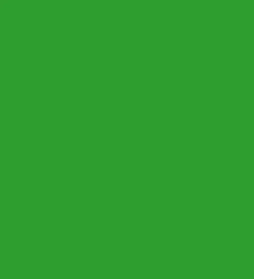Solid green square with no visible patterns or textures.
