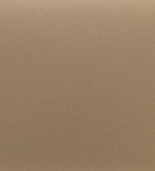 Textured brown surface resembling sandpaper, with a fine, granular appearance.