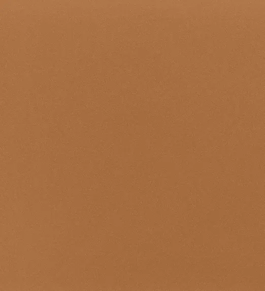 Solid burnt orange texture with a subtle, even grainy pattern covering the entire surface.