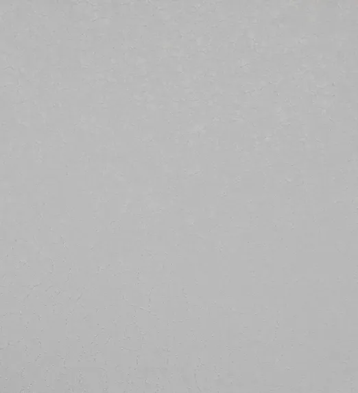 Close-up of a textured, cracked gray wall surface, illuminated evenly with subtle variations in tone.
