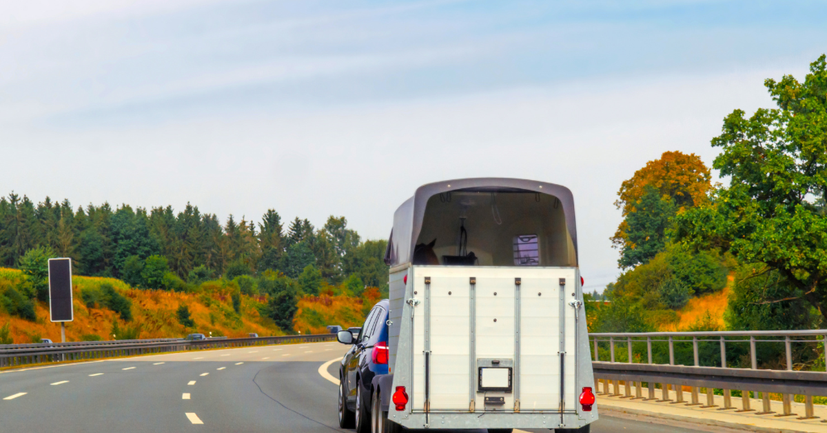 Blind rivets for trailers | Sariv