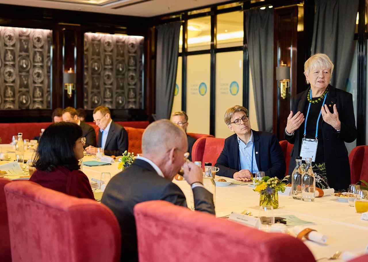 Civil Society Organizations applications to co-host VIP Dialogues at WHS 2025