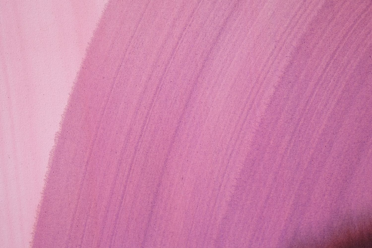 A close-up of a pinkish-purple flower with a curved, textured surface. [G]