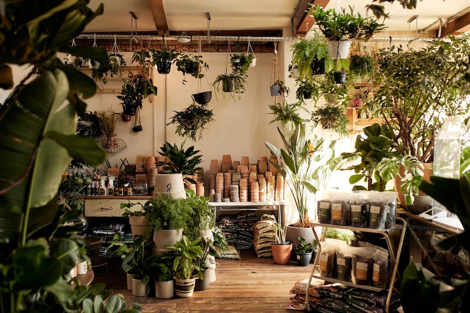 A garden store filled with lush plants and pots. [G]