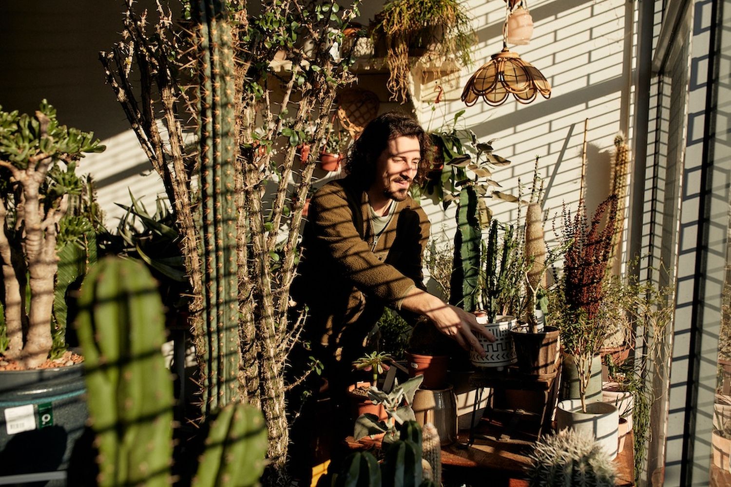 Cactus garden, man, potted plants, sun, light, plants, flowers, plants, plants, plants, plants, plants, plants, plants, plants, plants, plants, plants, plants, plants, plants, plants, plants, plants, plants, plants, plants, plants, plants, plants, plants, plants, plants, plants, plants, plants, plants, plants, plants, plants, plants, plants, plants, plants, plants, plants, plants, plants, plants, plants, plants, plants, plants, plants, plants, plants, plants, plants, plants, plants, plants, plants, plants, plants, plants, plants, plants, plants, plants, plants, plants, plants, plants, plants, plants, plants, plants, plants, plants, plants, plants, plants, plants, plants, plants, plants, plants, plants, plants, plants, plants, plants, plants, plants, plants, plants, plants, plants, plants, plants, plants, plants, plants, plants, plants, plants, plants, plants, plants, plants, plants, plants, plants, plants, plants, plants, plants, plants, plants, plants, plants, plants, plants, plants, plants, plants, plants, plants, plants, plants, plants, plants, plants, plants, plants, plants, plants, plants, plants, plants, plants, plants, plants, plants, plants, plants, plants, plants, plants, plants, plants, plants, plants, plants, plants, plants, plants, plants, plants, plants, plants, plants, plants, plants, plants, plants, plants, plants, plants, plants, plants, plants, plants, plants, plants, plants, plants, plants, plants, plants, plants, plants, plants, plants, plants, plants, plants, plants, plants, plants, plants, plants, plants, plants, plants, plants, plants, plants, plants, plants, plants, plants, plants, plants, plants, plants, plants, plants, plants, plants, plants, plants, plants, plants, plants, plants, plants, plants, plants, plants, plants, plants, plants, plants, plants, plants, plants, plants, plants, plants, plants, plants, plants, plants, plants, plants, plants, plants, plants, plants, plants, plants, plants, plants, plants, plants, plants, plants, plants, plants, plants, plants, plants, plants, [G]