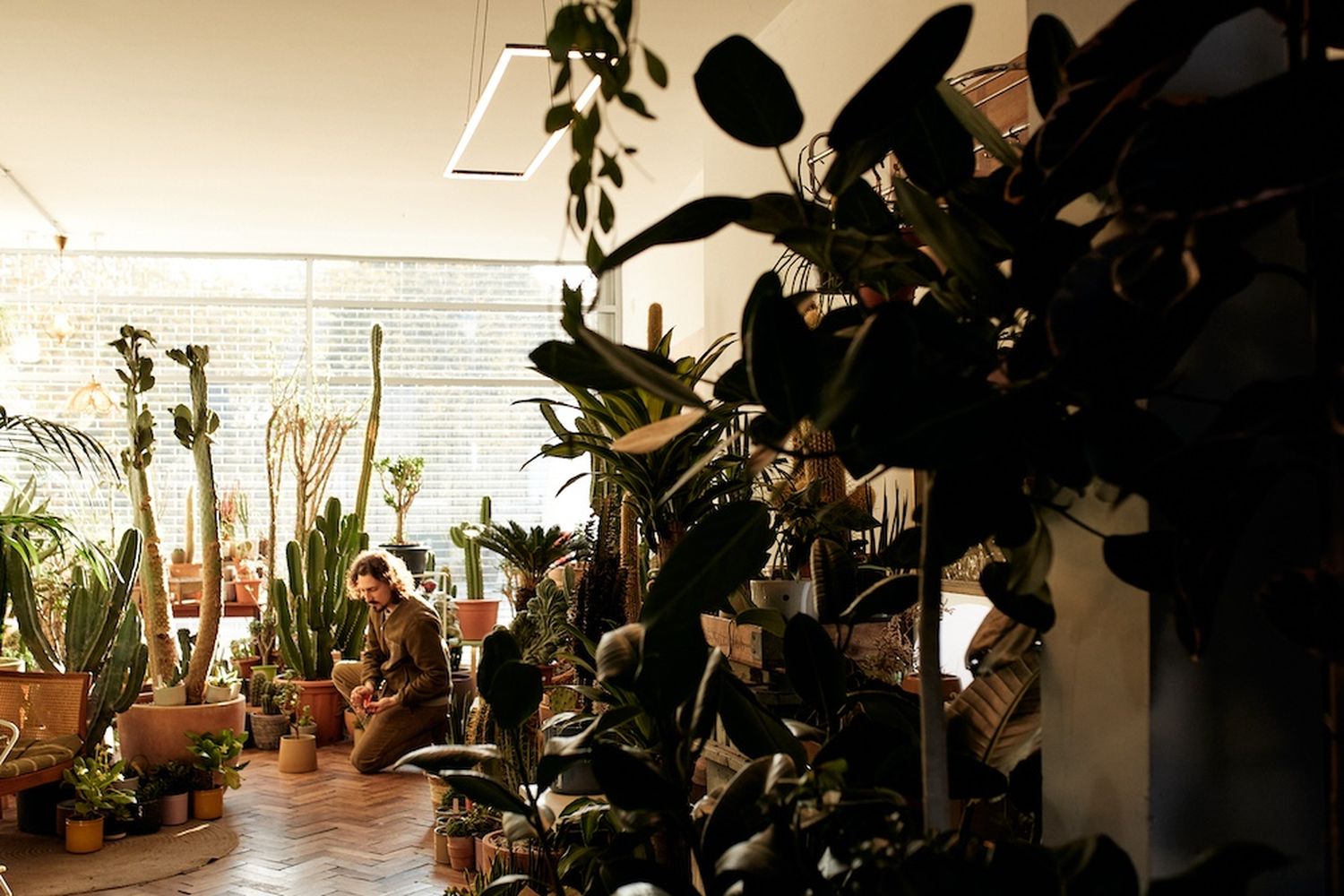 Conservatory archive [G]
