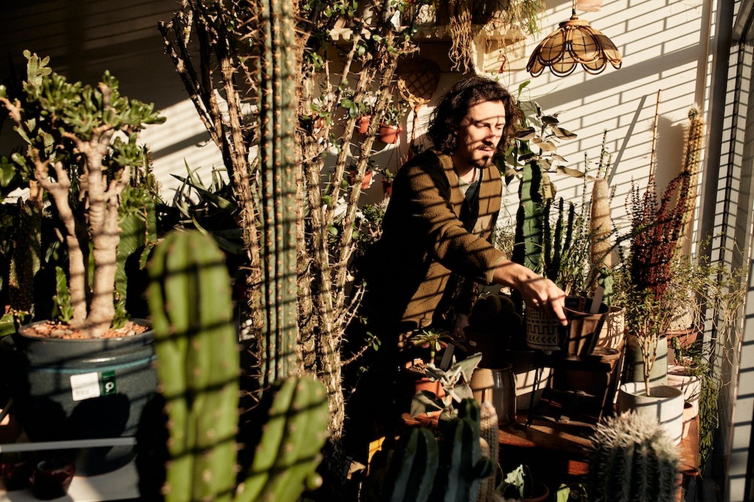 Cactus garden, man in brown jacket, potted plants, cactus, flower, plant, plant pot, plant pot holder, plant pot holder, plant pot holder, plant pot holder, plant pot holder, plant pot holder, plant pot holder, plant pot holder, plant pot holder, plant pot holder, plant pot holder, plant pot holder, plant pot holder, plant pot holder, plant pot holder, plant pot holder, plant pot holder, plant pot holder, plant pot holder, plant pot holder, plant pot holder, plant pot holder, plant pot holder, plant pot holder, plant pot holder, plant pot holder, plant pot holder, plant pot holder, plant pot holder, plant pot holder, plant pot holder, plant pot holder, plant pot holder, plant pot holder, plant pot holder, plant pot holder, plant pot holder, plant pot holder, plant pot holder, plant pot holder, plant pot holder, plant pot holder, plant pot holder, plant pot holder, plant pot holder, plant pot holder, plant pot holder, plant pot holder, plant pot holder, plant pot holder, plant pot holder, plant pot holder, plant pot holder, plant pot holder, plant pot holder, plant pot holder, plant pot holder, plant pot holder, plant pot holder, plant pot holder, plant pot holder, plant pot holder, plant pot holder, plant pot holder, plant pot holder, plant pot holder, plant pot holder, plant pot holder, plant pot holder, plant pot holder, plant pot holder, plant pot holder, plant pot holder, plant pot holder, plant pot holder, plant pot holder, plant pot holder, plant pot holder, plant pot holder, plant pot holder, plant pot holder, plant pot holder, plant pot holder, plant pot holder, plant pot holder, plant pot holder, plant pot holder, plant pot holder, plant pot holder, plant pot holder, plant pot holder, plant pot holder, plant pot holder, plant pot holder, plant pot holder, plant pot holder, plant pot holder, plant pot holder, plant pot holder, plant pot holder, plant pot holder, plant pot holder, plant pot holder, plant pot holder, plant pot holder, plant pot holder, plant pot holder, plant pot holder, plant pot holder, plant pot holder, plant pot holder, plant pot holder, plant pot holder, plant pot holder, plant pot holder, plant pot holder, plant pot holder, plant pot holder, plant pot holder, plant pot holder, plant pot holder, plant pot holder, plant [G]