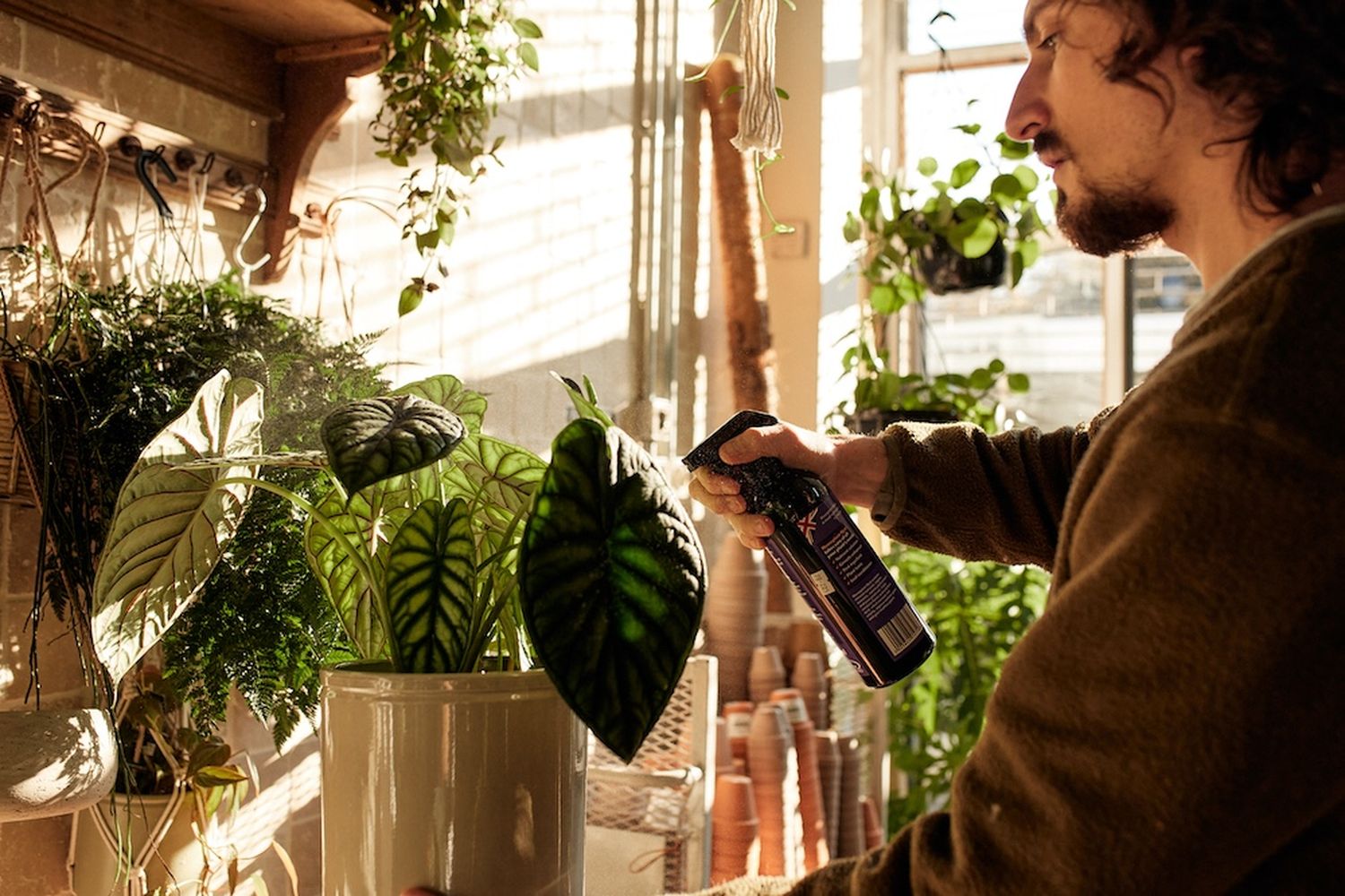 A man in a green sweater is spray painting a large green leafy plant in a room filled with various plants and pots. [G]