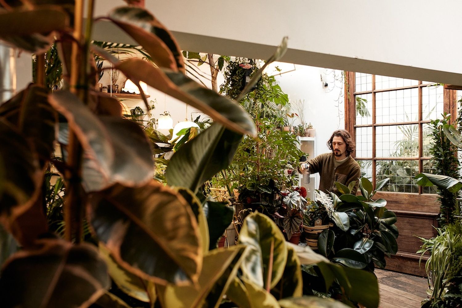 A man with long hair and a beard is in a greenhouse, carefully selecting and arranging plants. [G]