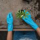 Hands in rubber gloves potting a small plant