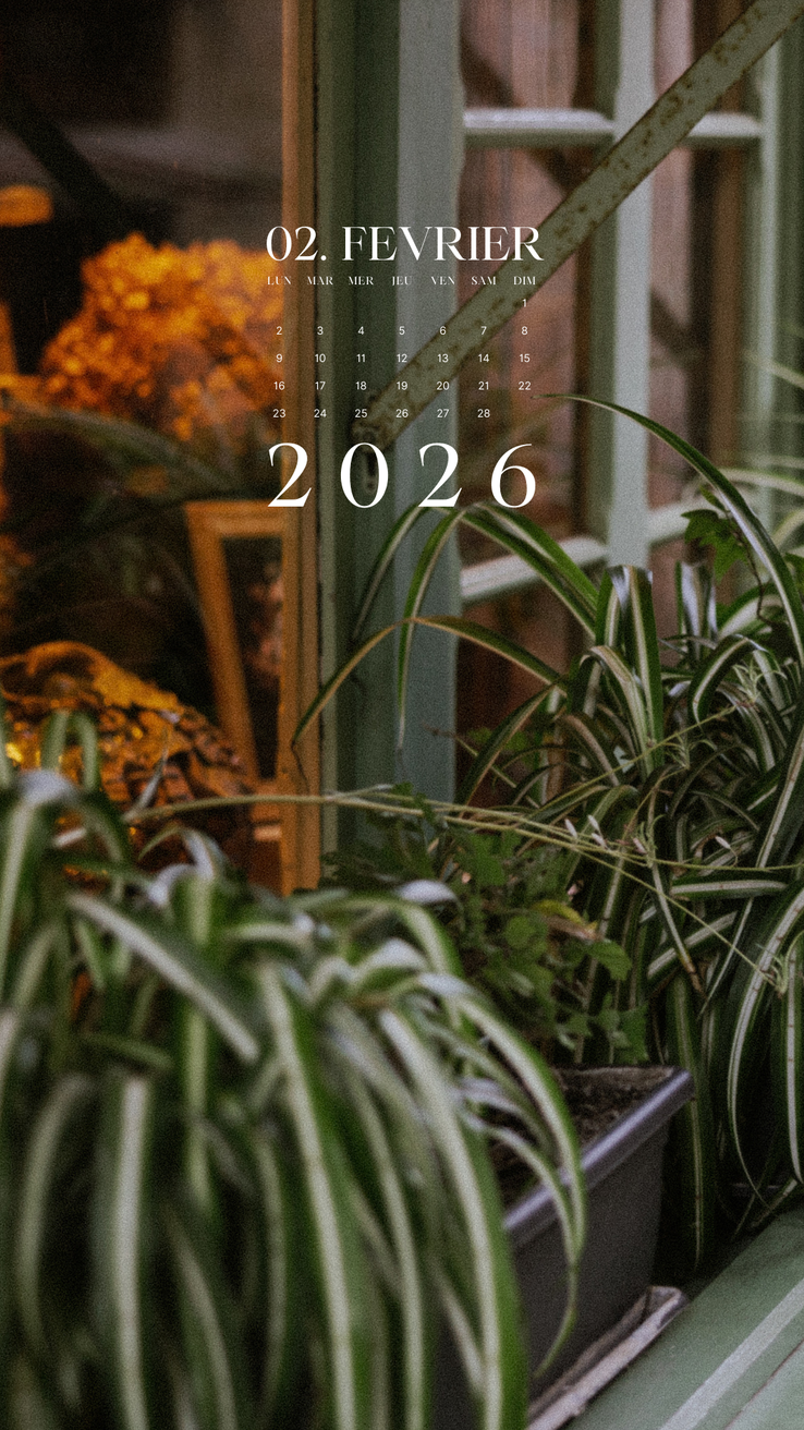 Fond D Ecran Telephone Fevrier 2026