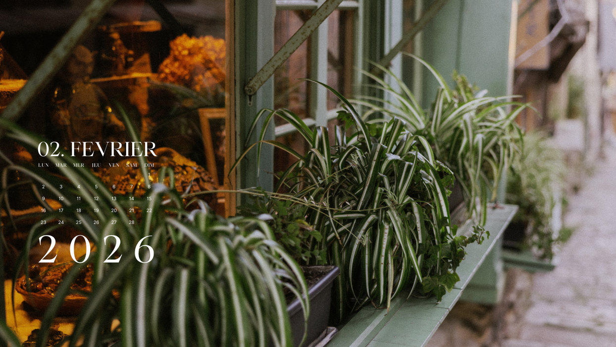 Fond D Ecran Ordinateur Fevrier 2026 Roxane Beaufils