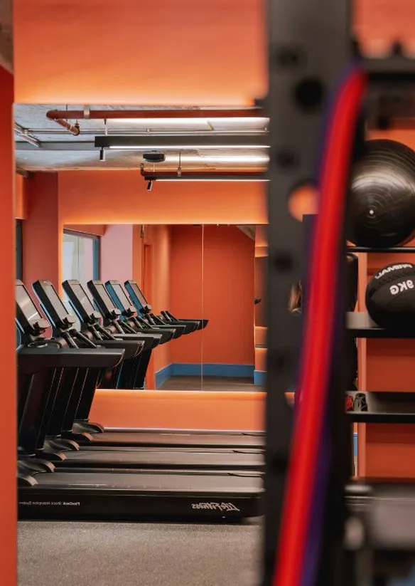 scape gym