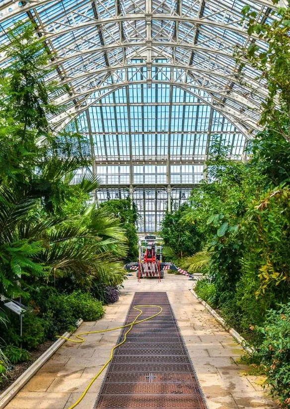Kew garden summer