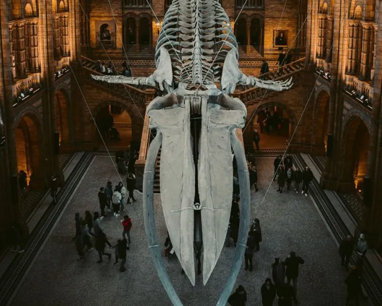 London museum