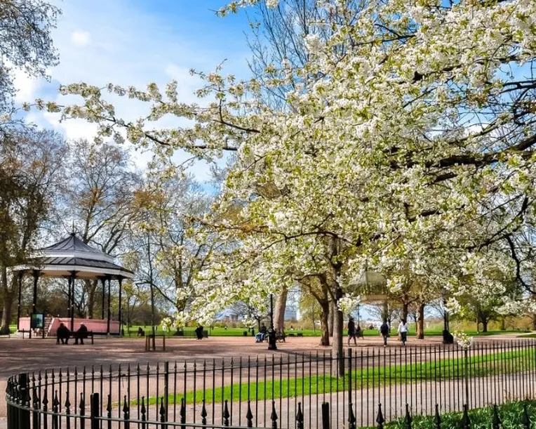 Spring blog thumbnail