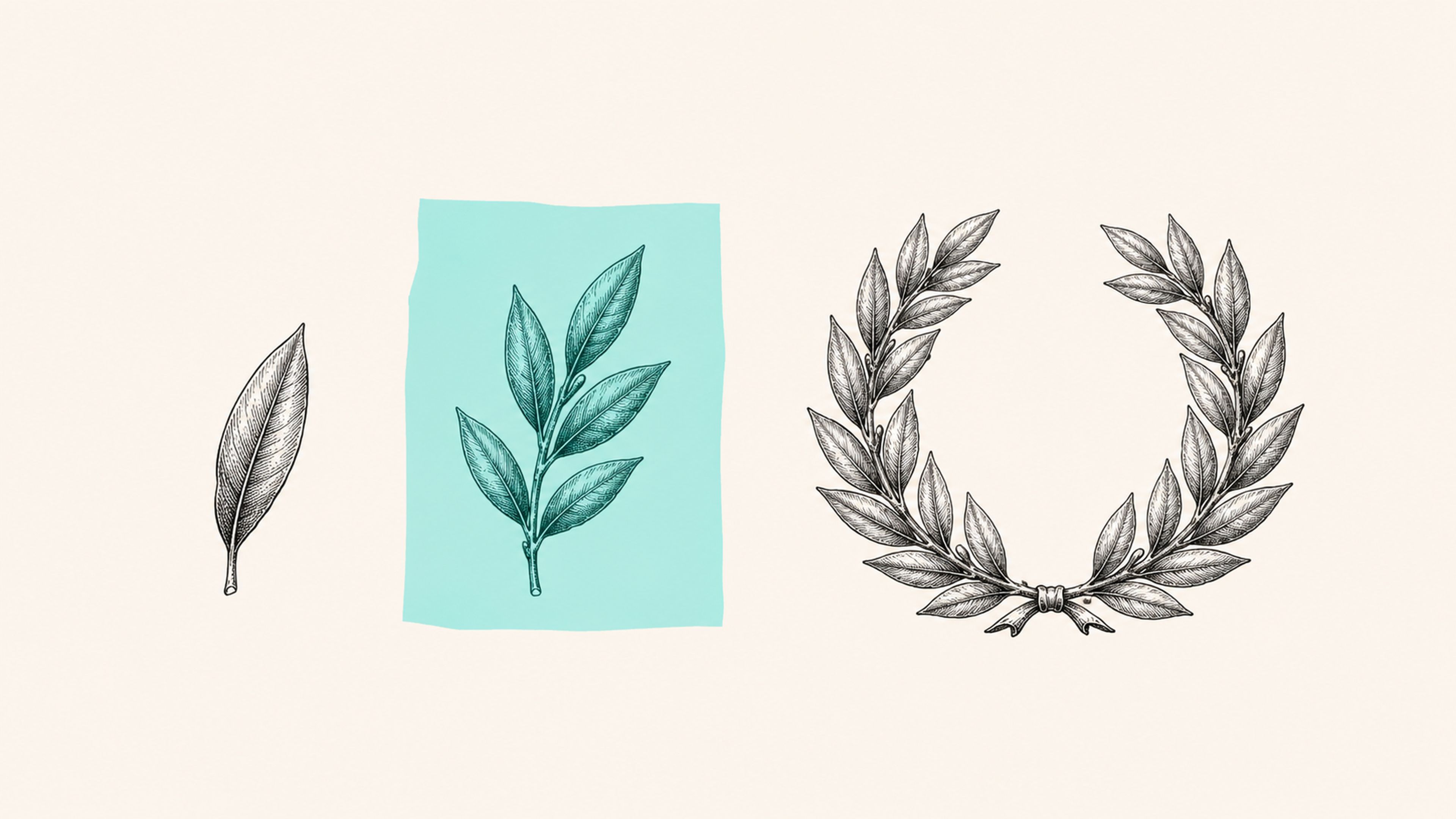 Progression d'une feuille vers une couronne de laurier, symbole de la réussite