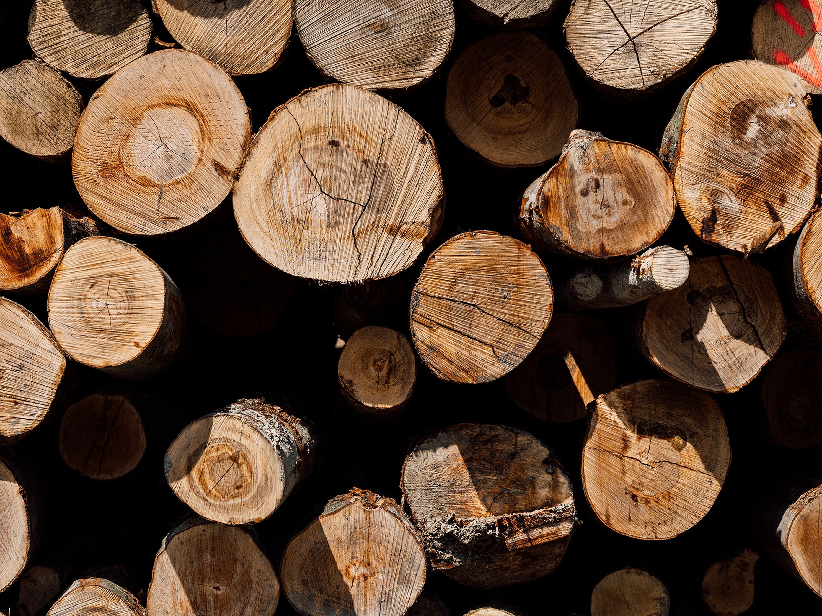 Stacked wood