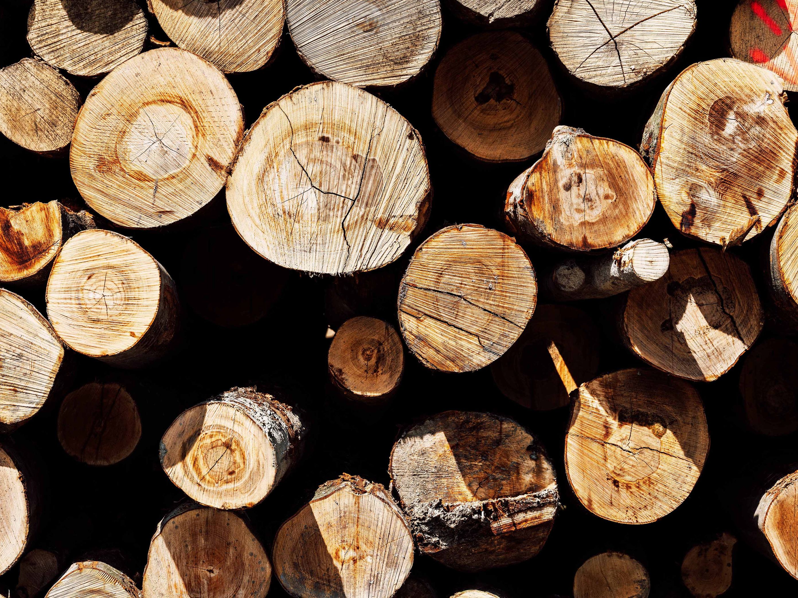 Woodyard