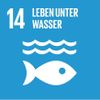 SDG-Ziel 14: Leben unterhalb des Wassers