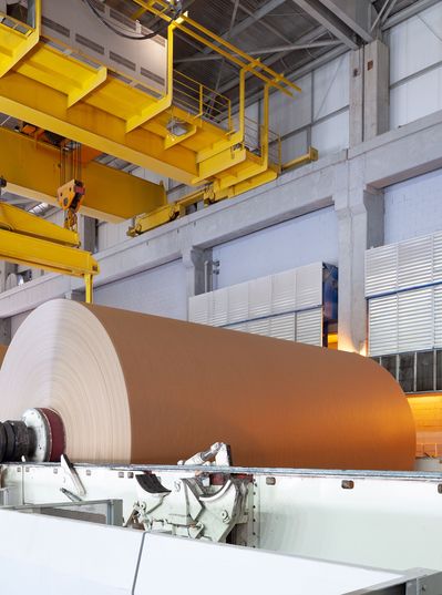 Paper rolls on the production line