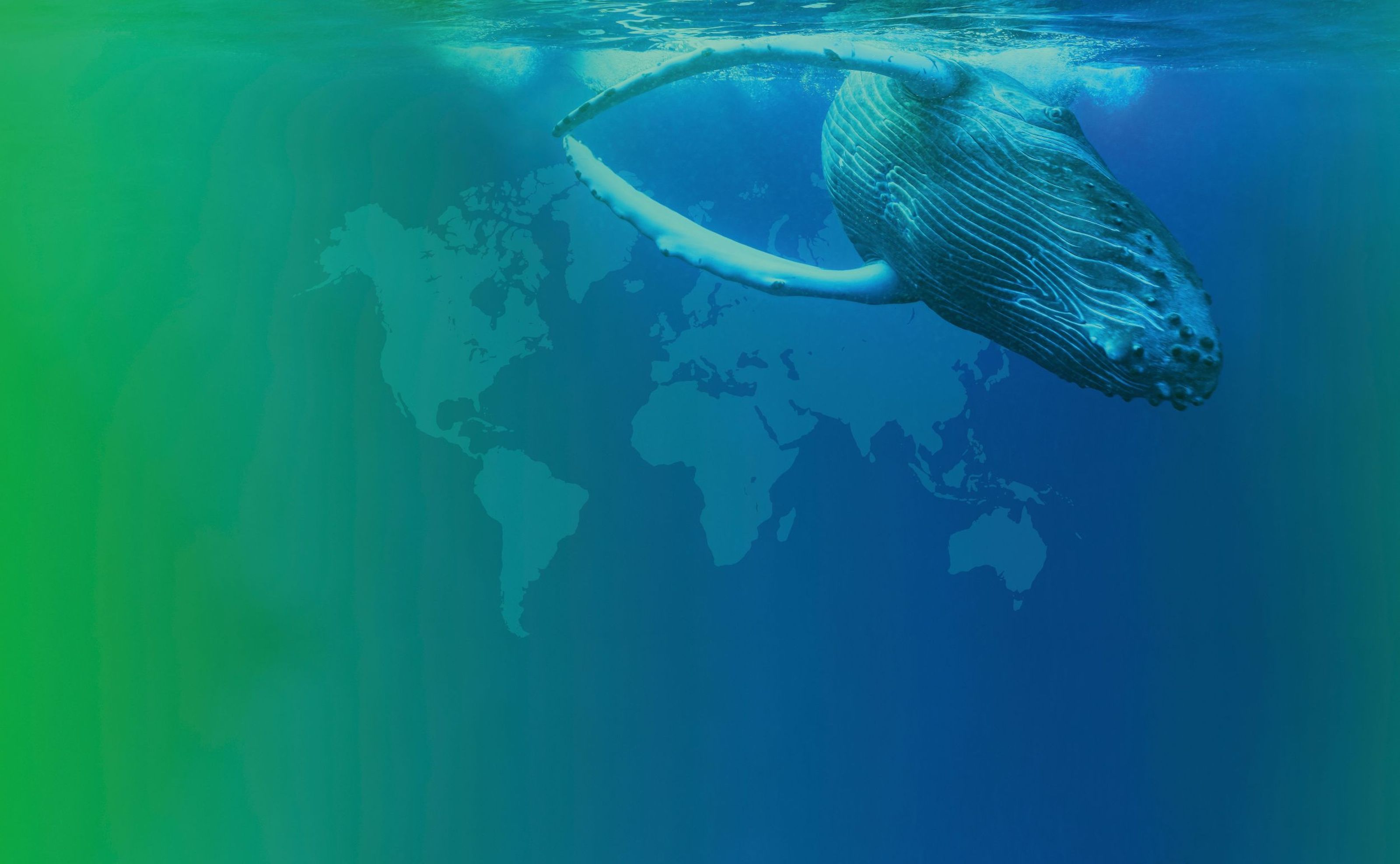 show a baleen whale in front of a world card