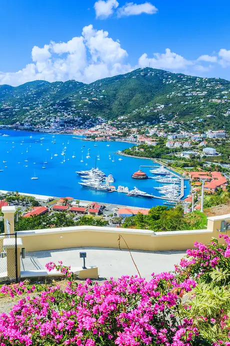 A View of a Marina in the US Virgin Islands