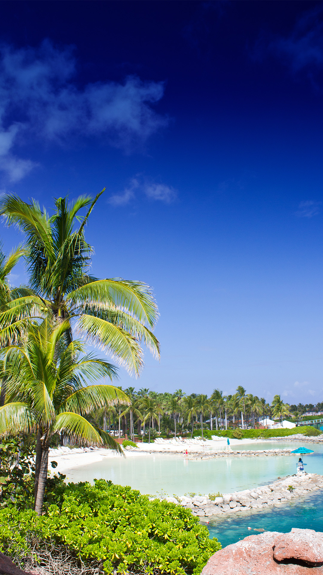 2nts Miami & 5nts Freedom of Bahamas & Perfect Day