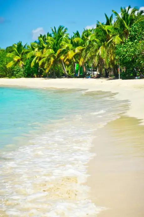 A View of a Beach in Tortola