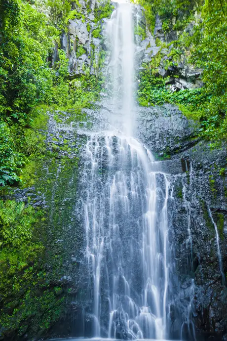 A tall waterfall cascades down a rocky cliff surrounded by lush green foliage, with water pooling at the base.