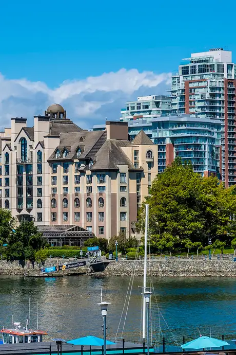 A waterfront scene with modern and classic buildings, boats docked, and trees under a bright blue sky.
