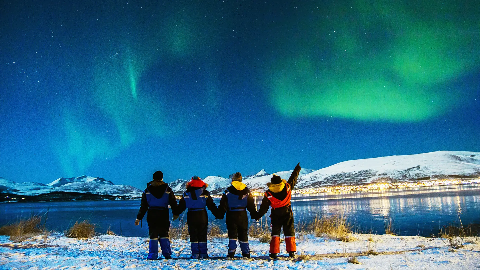 A Group of People holding hands looking at the Northern Lights