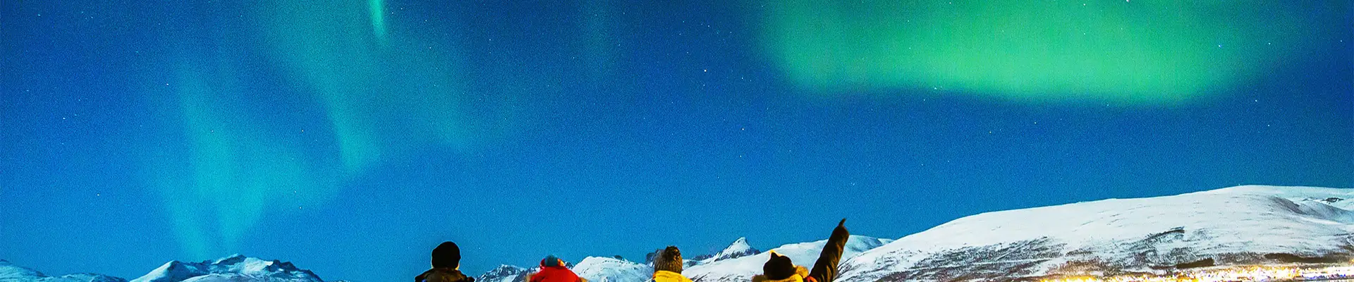 A Group of People holding hands looking at the Northern Lights