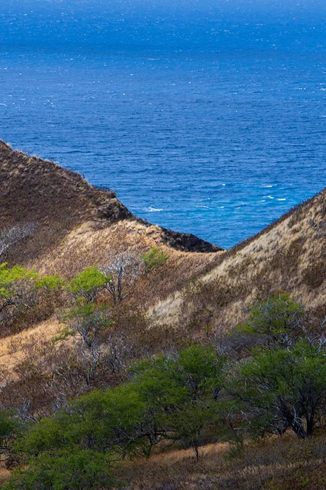 A view of Diamond Head Crater in Hawaii