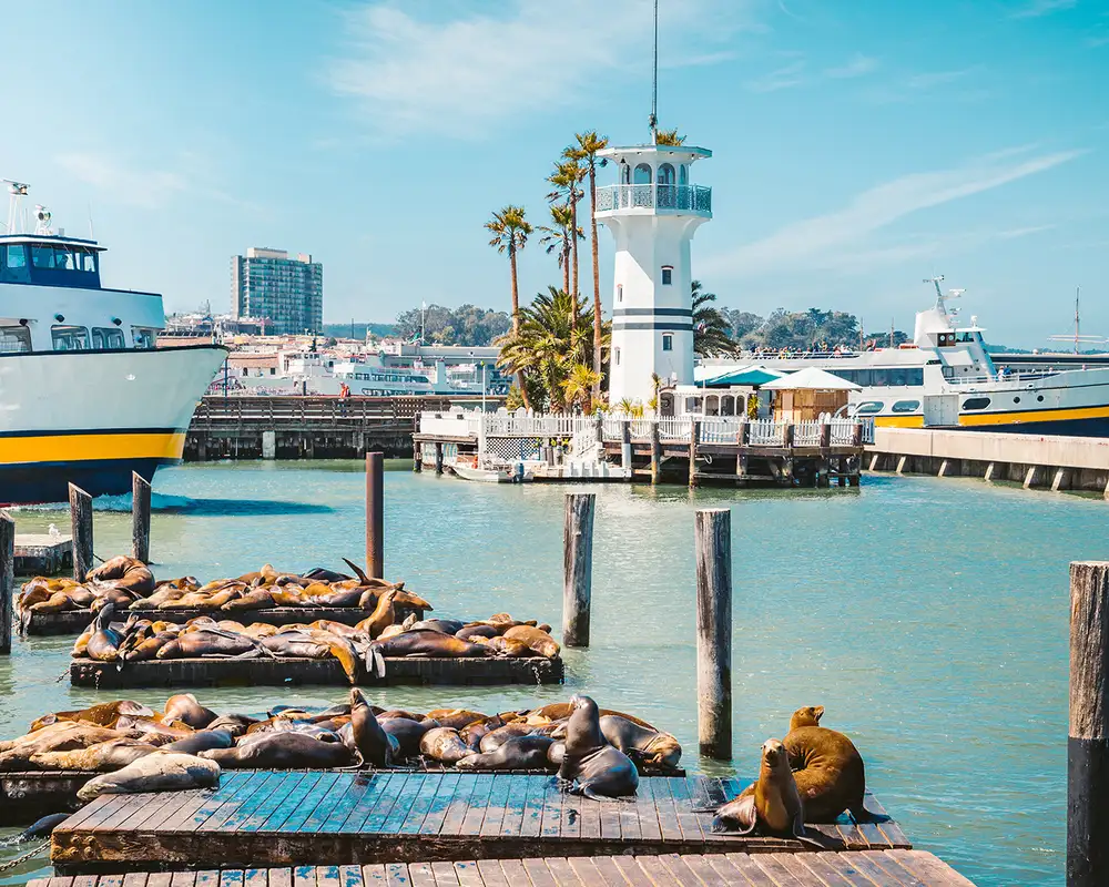 A view of the docks at Fishermans Wharf in San Francisco