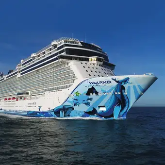 The Norwegian Bliss