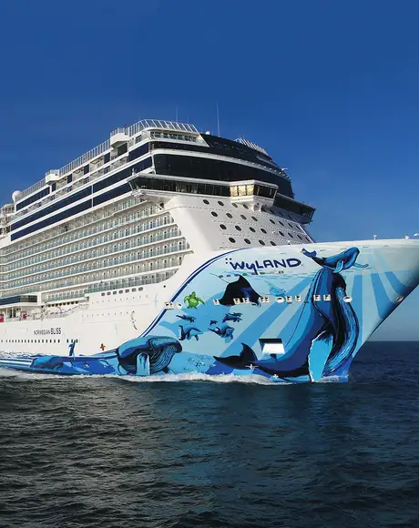 The Norwegian Bliss