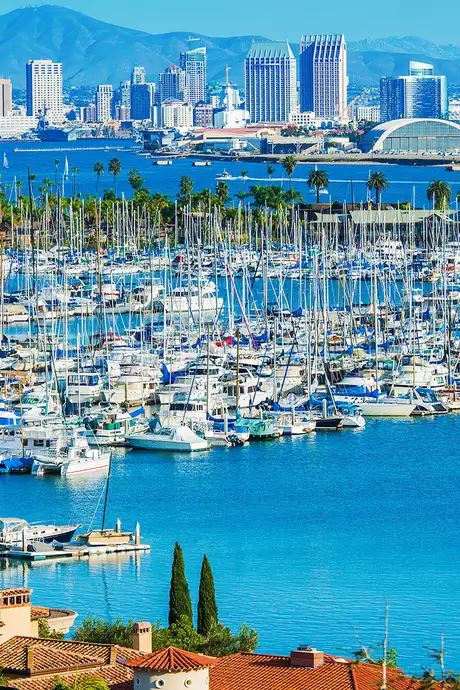 A View of the San Diego Marina