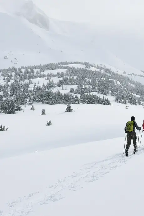 Some hikers walking through the snow in Chugach State Park, Alaska