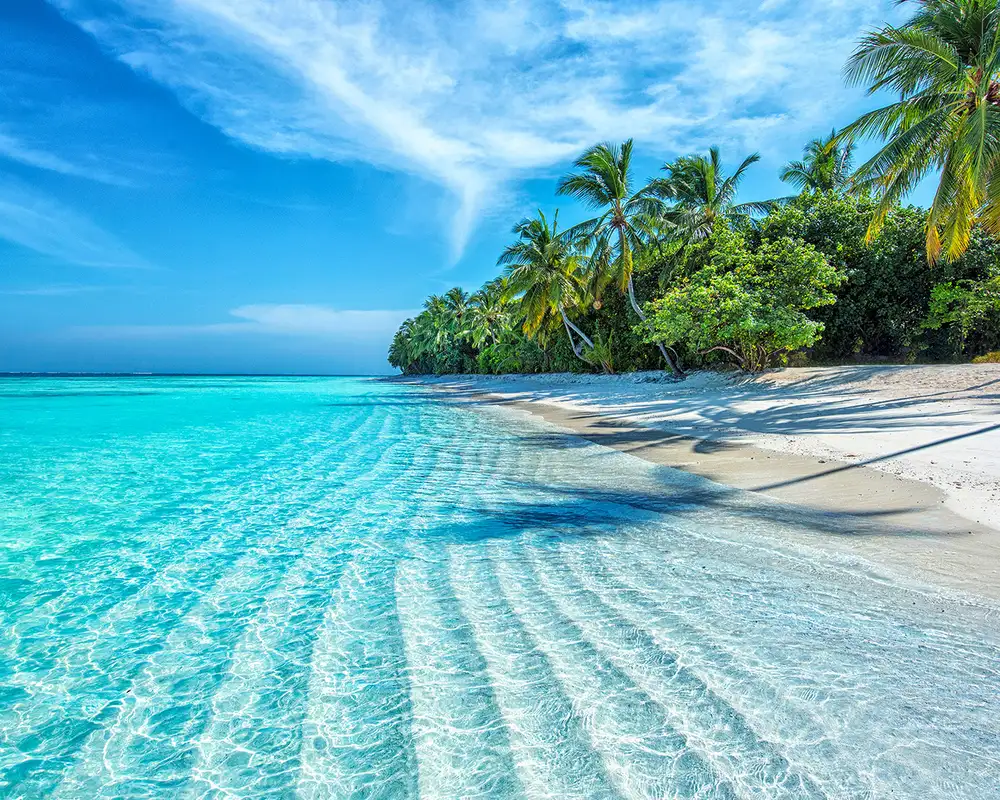 A sunny beach in the Caribbean
