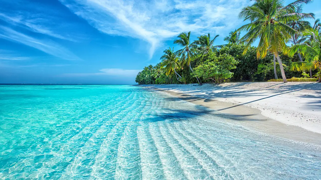 A sunny beach in the Caribbean