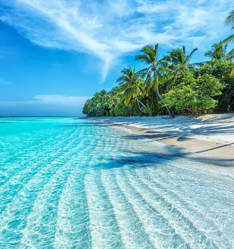 A sunny beach in the Caribbean