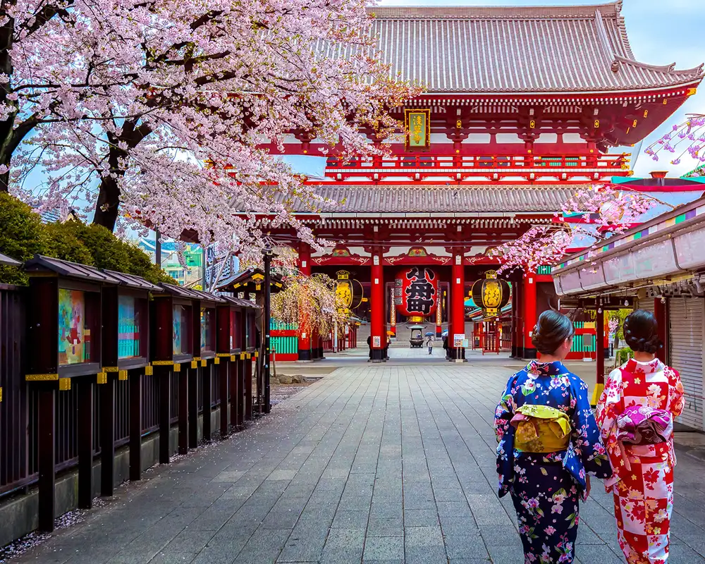 Geishas walking towards a temple in Japan
