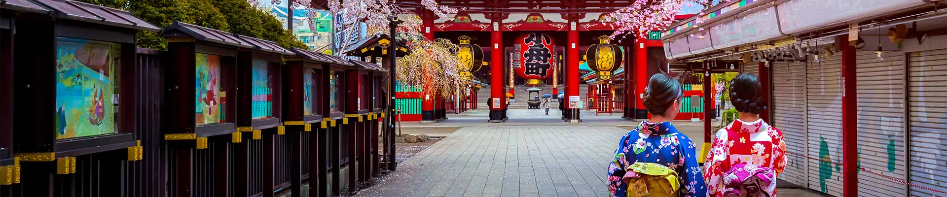 Geishas walking towards a temple in Japan