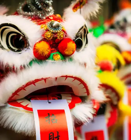 Chinese Dragons in the Hong Kong Chinese New Year Celebrations