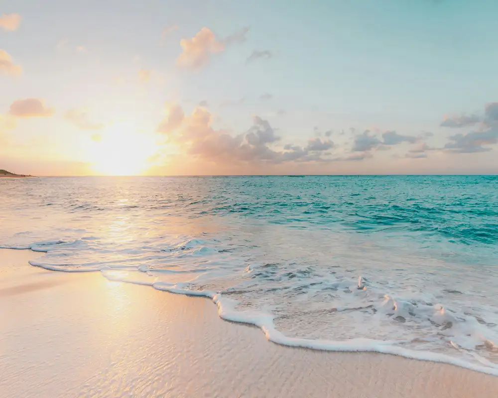 In image of a beach at sunset