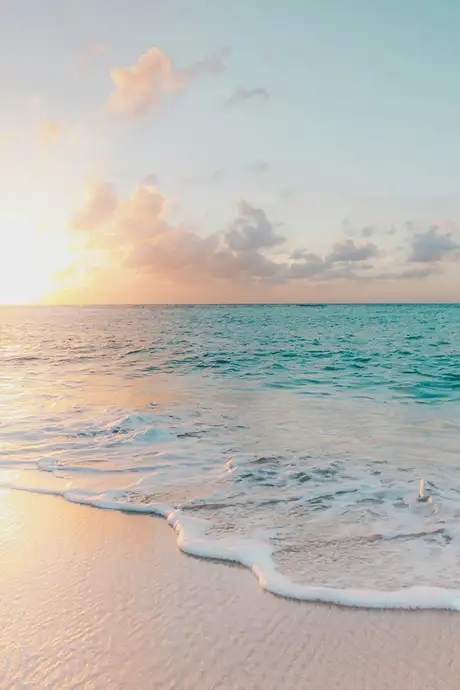 In image of a beach at sunset