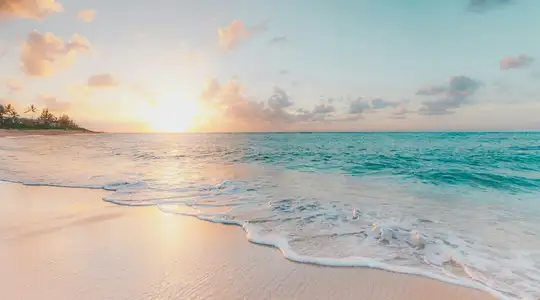 In image of a beach at sunset